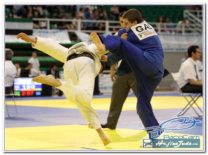 CEE201200061