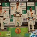 CEE201200006
