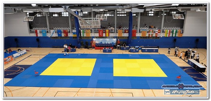 Desafio Mogena Judo Getafe 2012