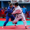 LIGA201500034